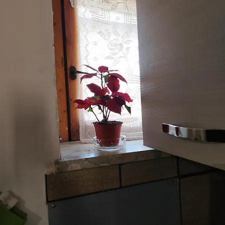 Διαμέρισμα Il Nido *